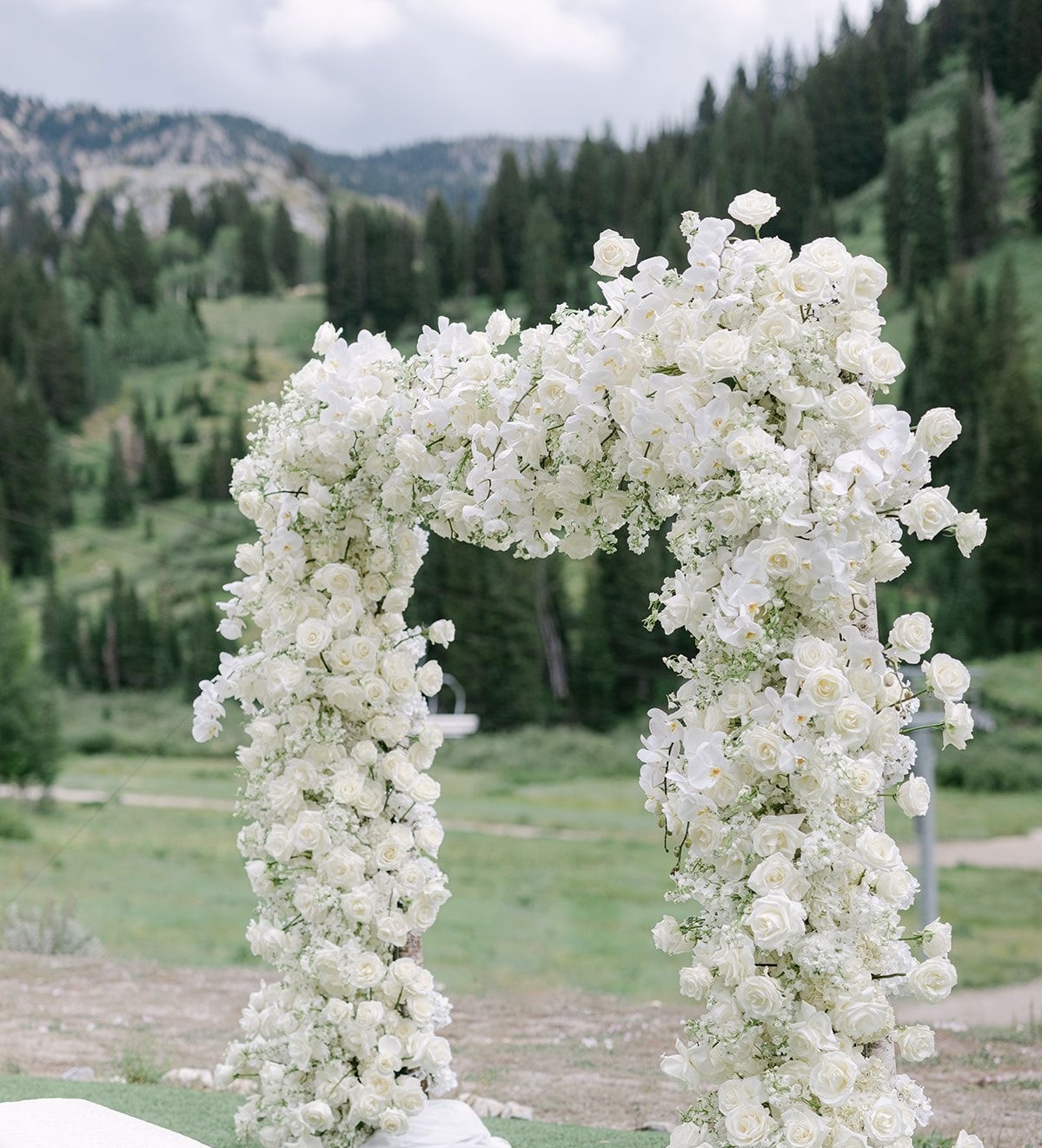 DMV Bloom flower arch